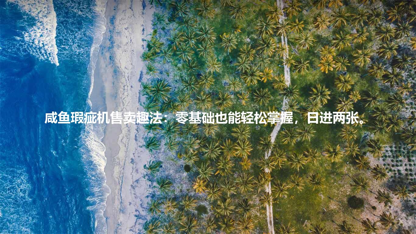 咸鱼瑕疵机售卖趣法：零基础也能轻松掌握，日进两张。