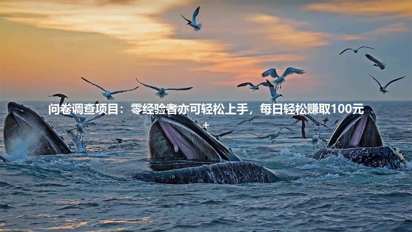 问卷调查项目：零经验者亦可轻松上手，每日轻松赚取100元+