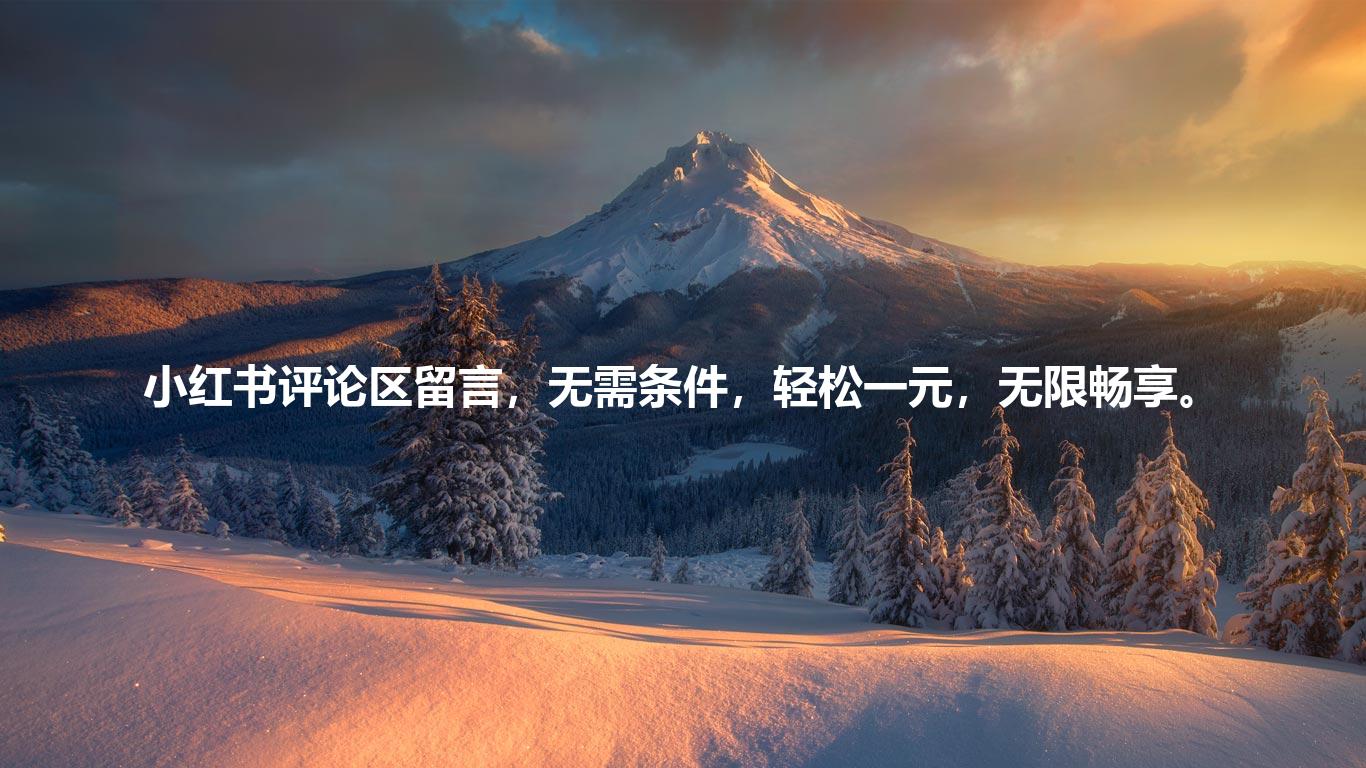 小红书评论区留言，无需条件，轻松一元，无限畅享。