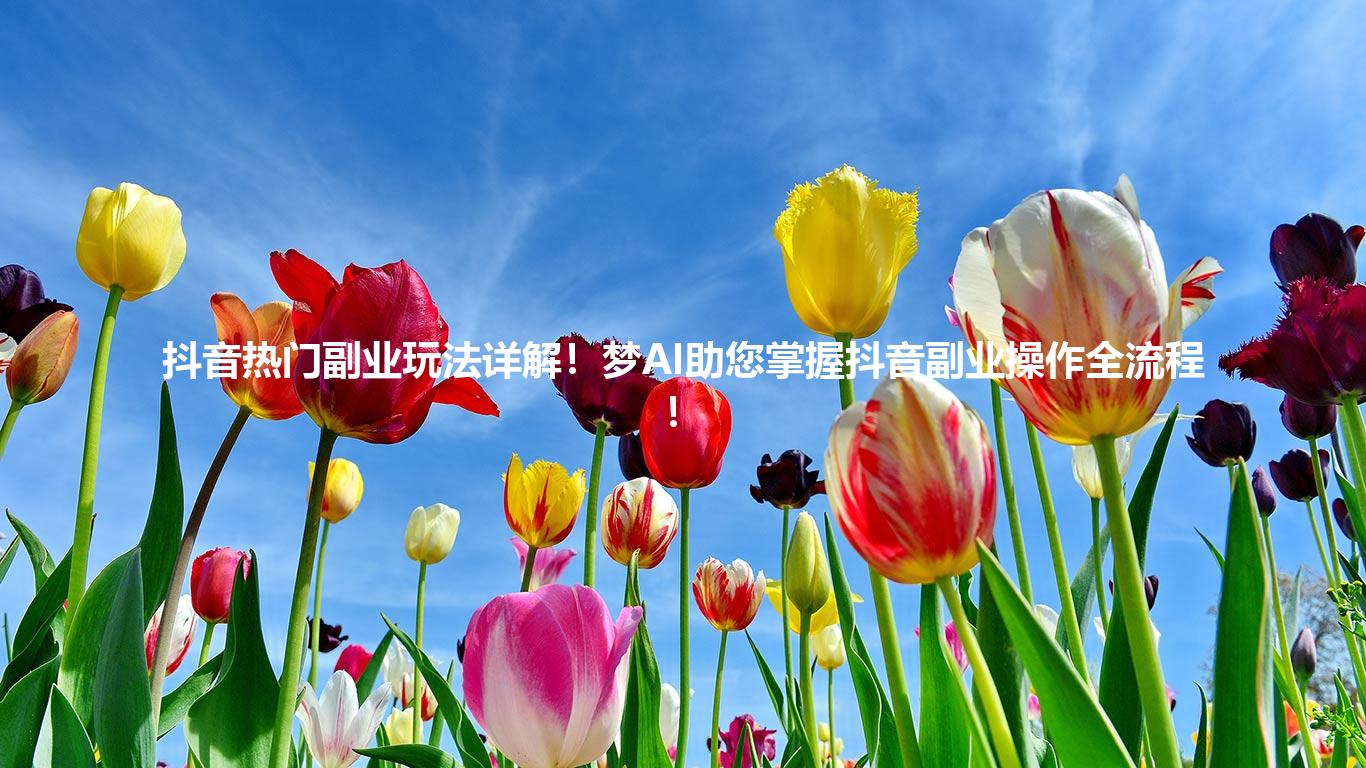 抖音热门副业玩法详解！梦AI助您掌握抖音副业操作全流程！
