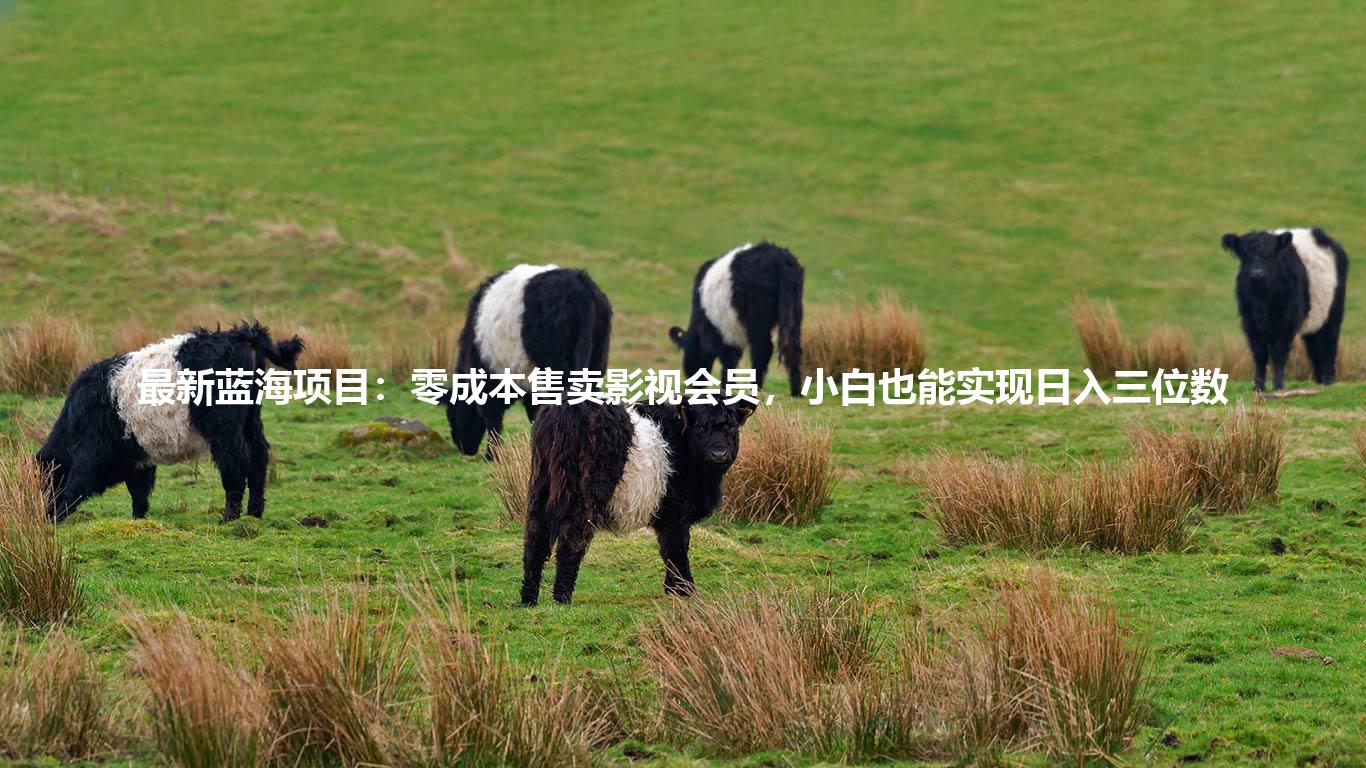 最新蓝海项目：零成本售卖影视会员，小白也能实现日入三位数