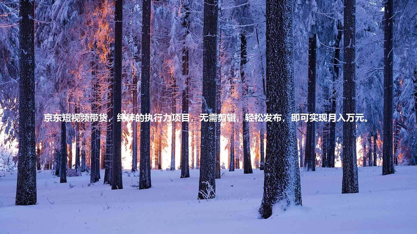 京东短视频带货，纯粹的执行力项目，无需剪辑，轻松发布，即可实现月入万元。