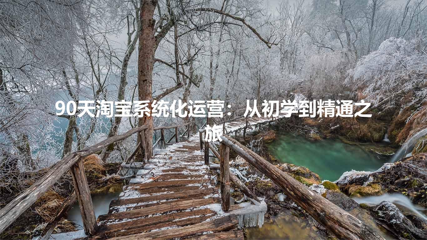 90天淘宝系统化运营：从初学到精通之旅