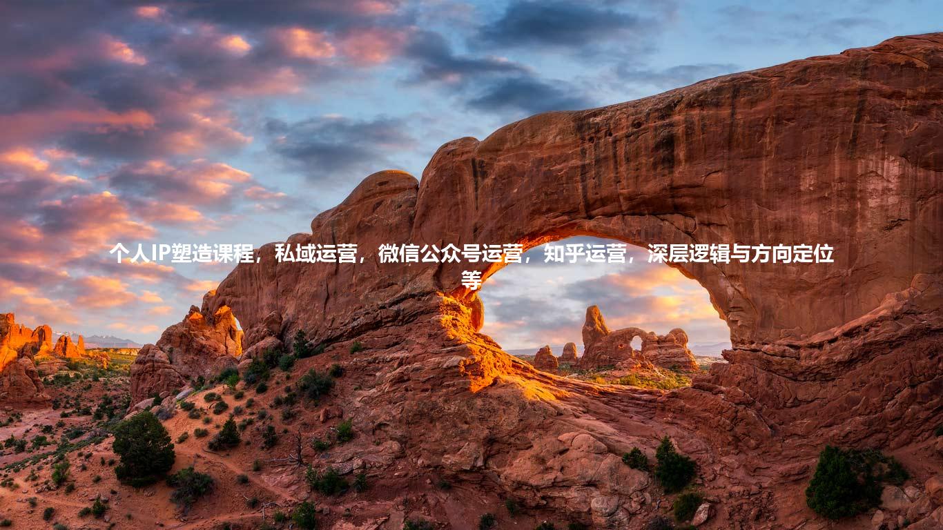 个人IP塑造课程，私域运营，微信公众号运营，知乎运营，深层逻辑与方向定位等