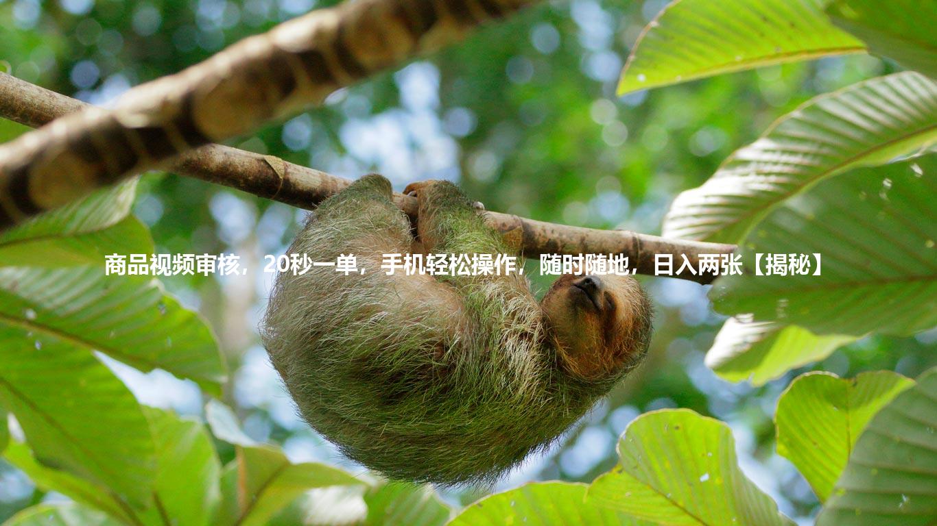 商品视频审核，20秒一单，手机轻松操作，随时随地，日入两张【揭秘】
