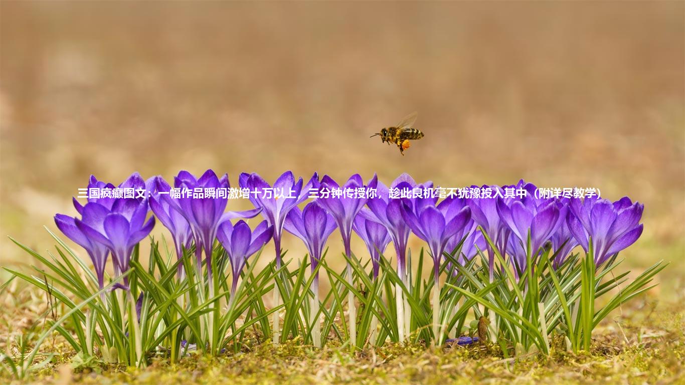 三国疯癫图文：一幅作品瞬间激增十万以上，三分钟传授你，趁此良机毫不犹豫投入其中（附详尽教学）