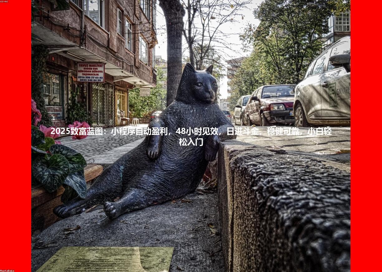 2025致富蓝图:小程序自动盈利,48小时见效,日进斗金,稳健可靠,小白轻松入门