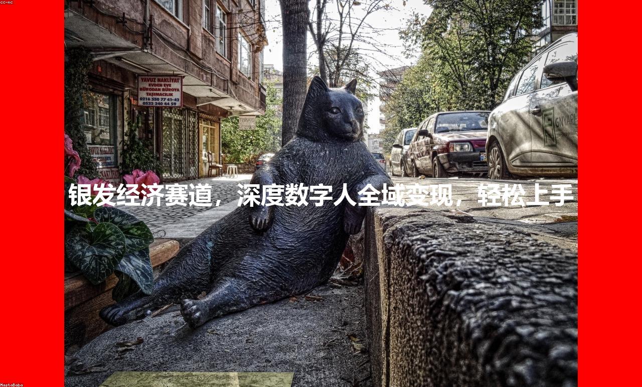 银发经济赛道，深度数字人全域变现，轻松上手