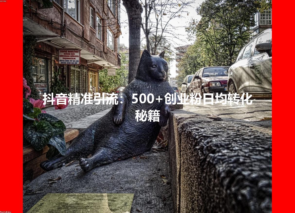 抖音精准引流:500+创业粉日均转化秘籍