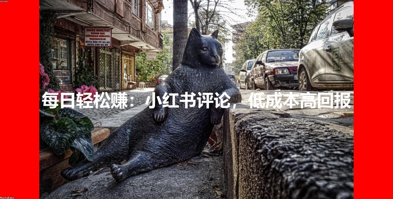 每日轻松赚：小红书评论，低成本高回报