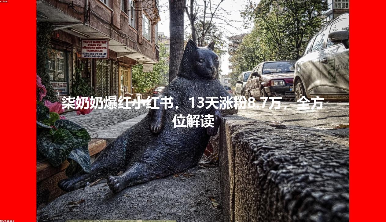 柒奶奶爆红小红书，13天涨粉8.7万，全方位解读