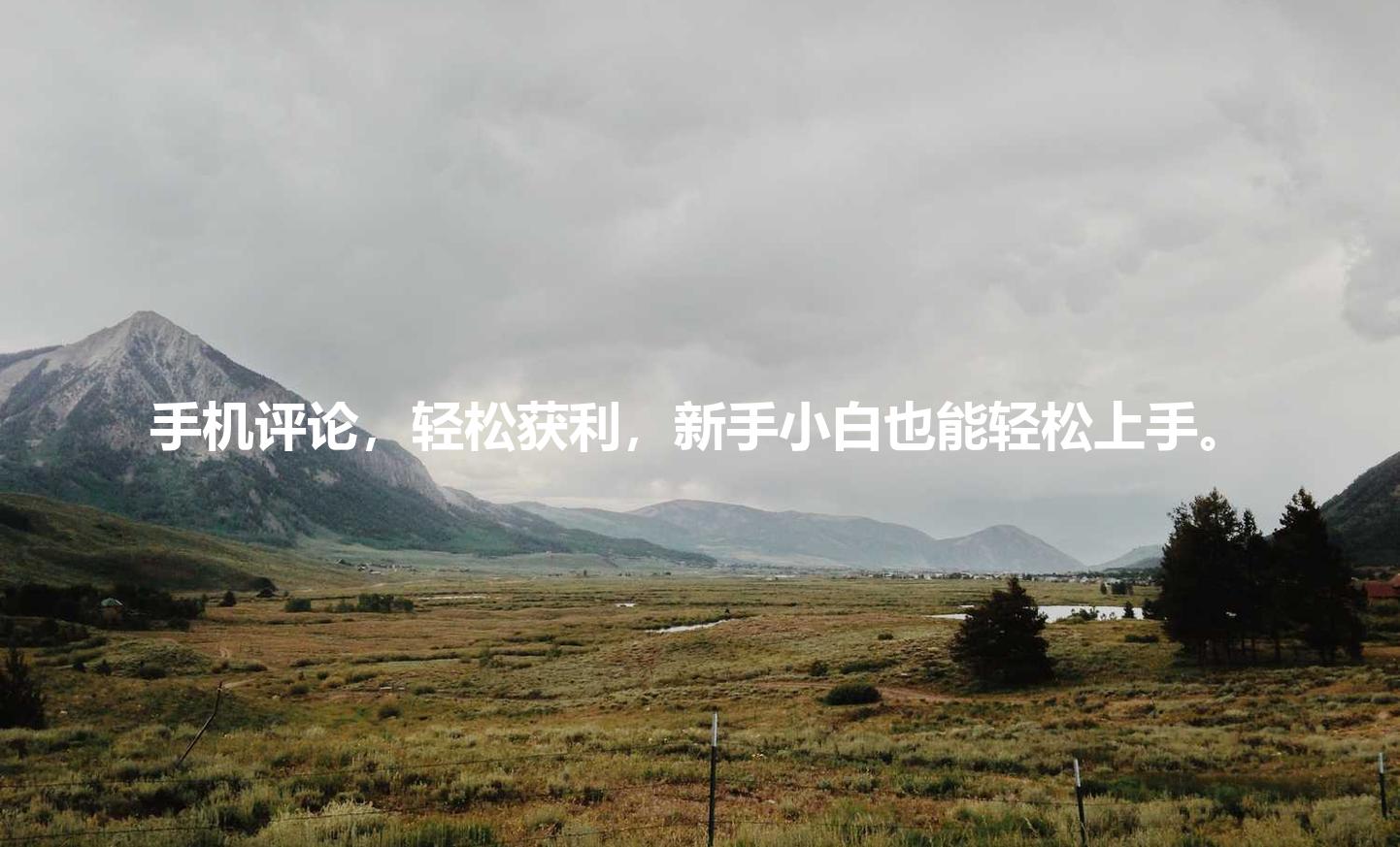 手机评论,轻松获利,新手小白也能轻松上手。