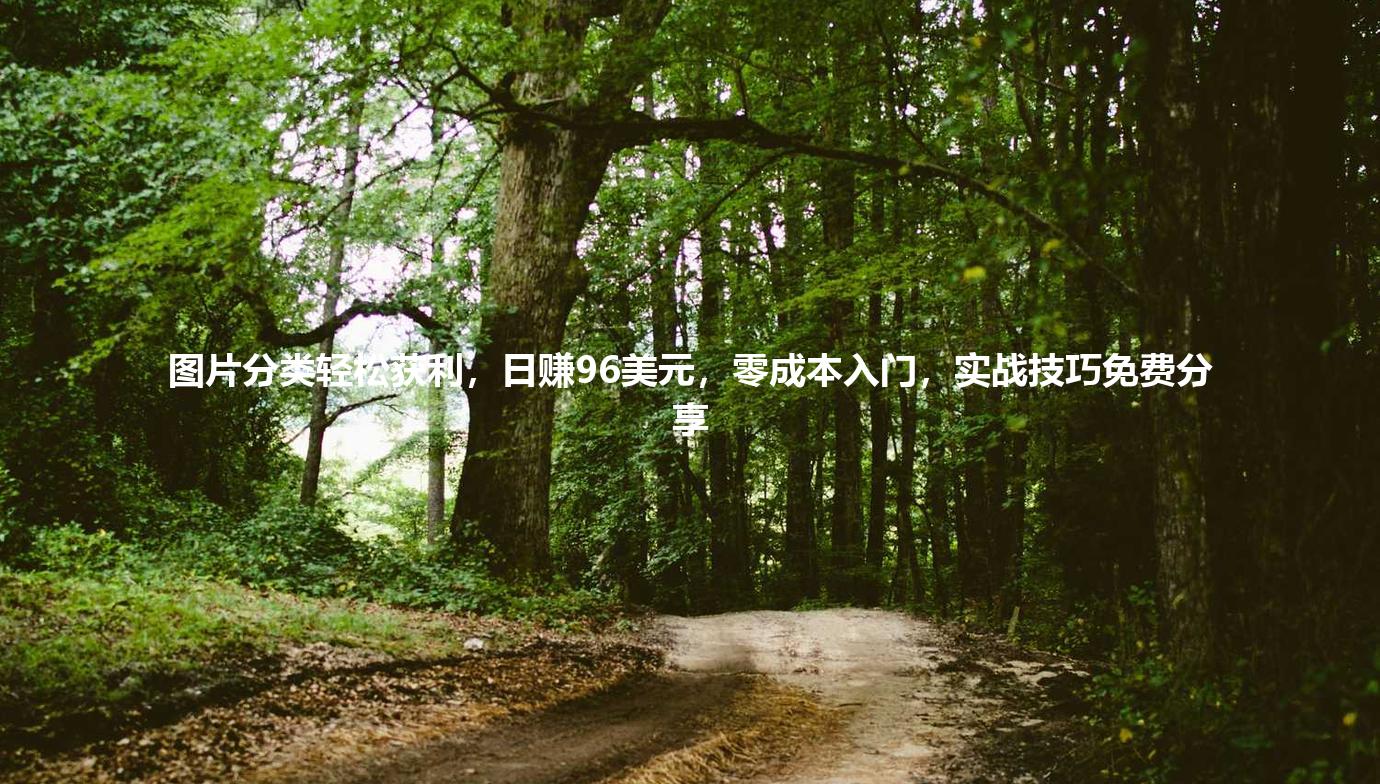 图片分类轻松获利，日赚96美元，零成本入门，实战技巧免费分享