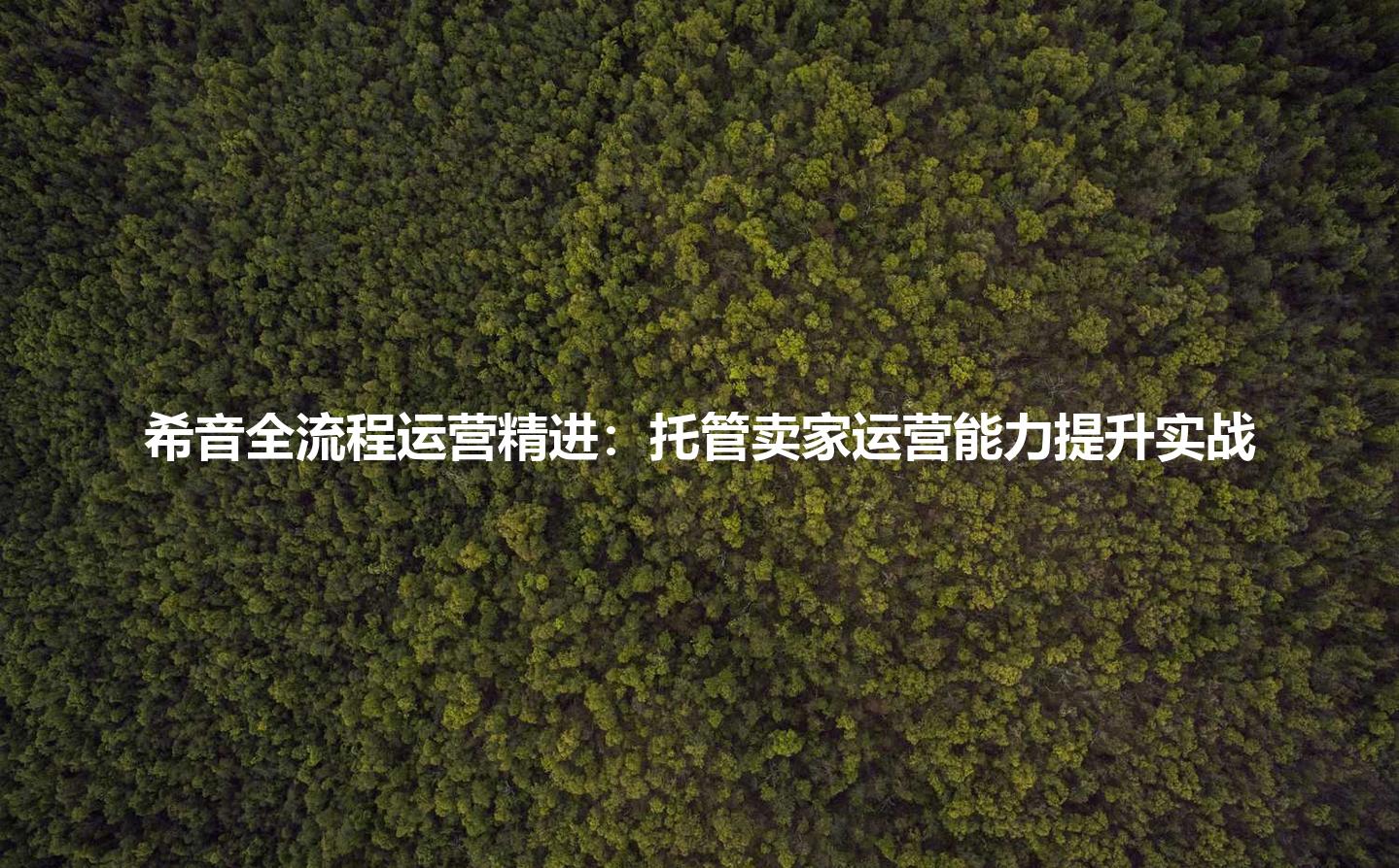 希音全流程运营精进:托管卖家运营能力提升实战