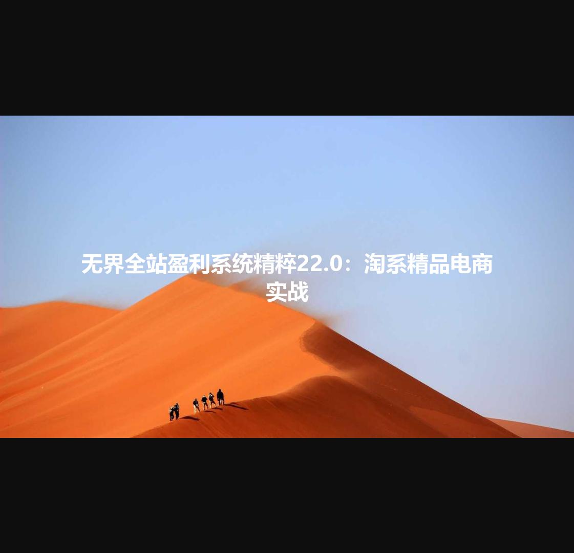 无界全站盈利系统精粹22.0:淘系精品电商实战