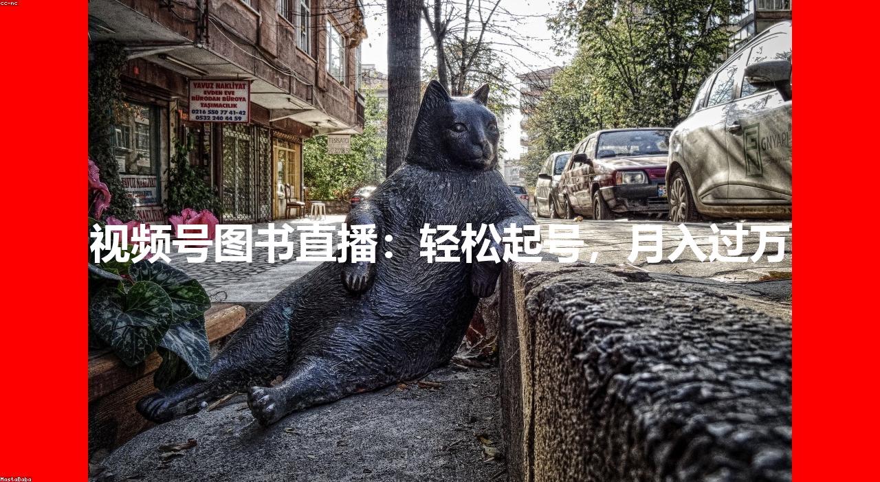 视频号图书直播：轻松起号，月入过万