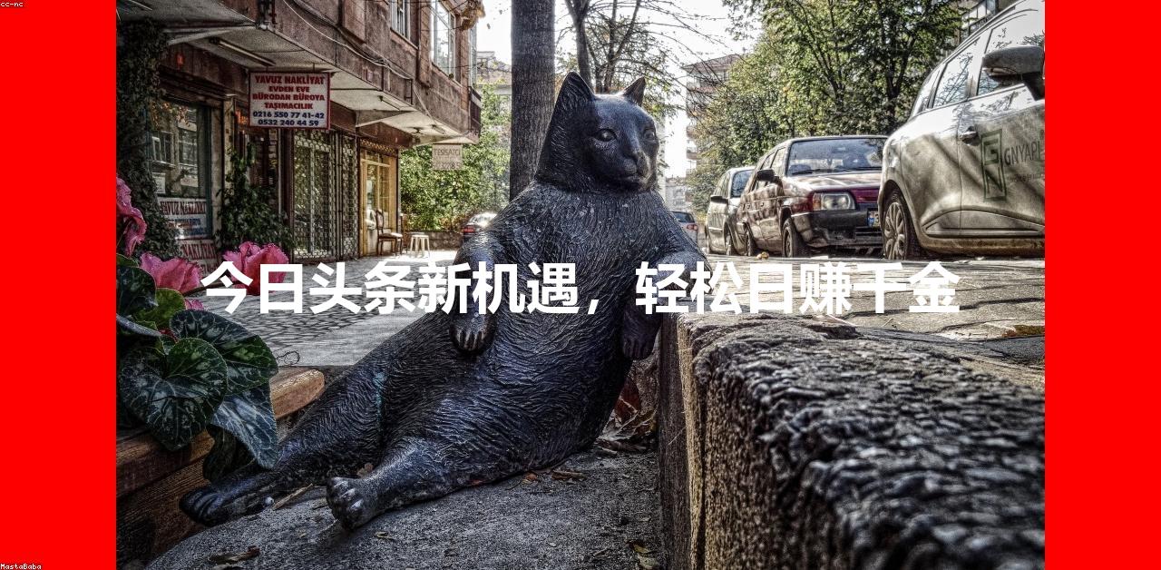 今日头条新机遇，轻松日赚千金