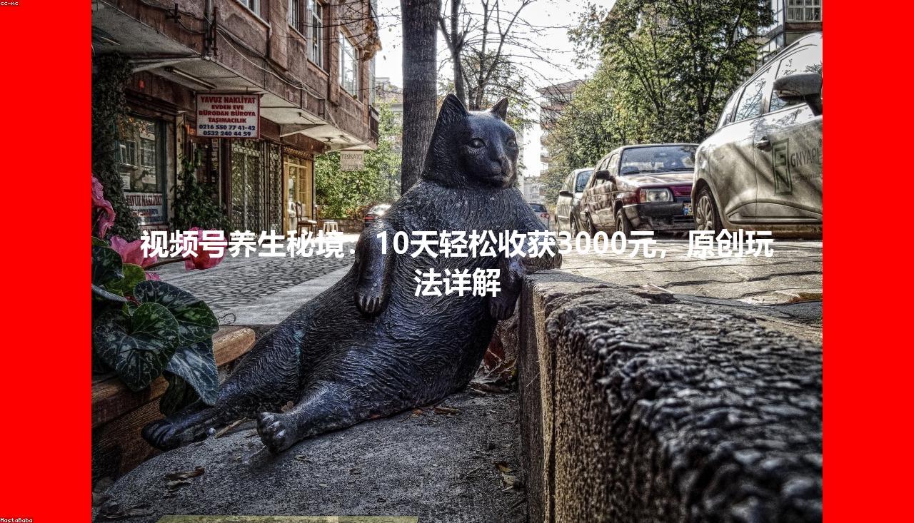 视频号养生秘境：10天轻松收获3000元，原创玩法详解