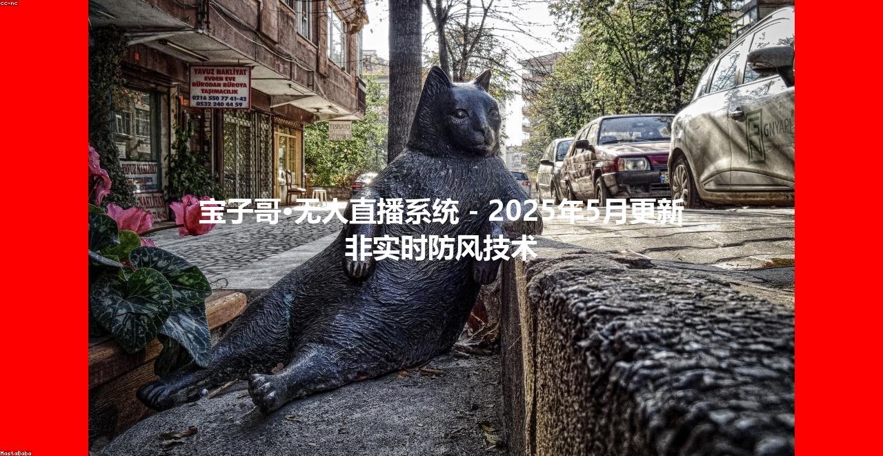 宝子哥·无人直播系统 - 2025年5月更新  非实时防风技术