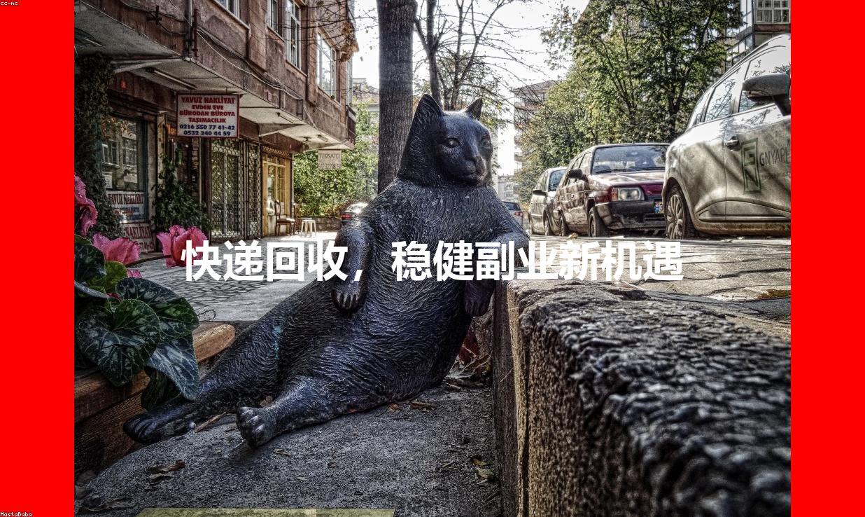 快递回收，稳健副业新机遇