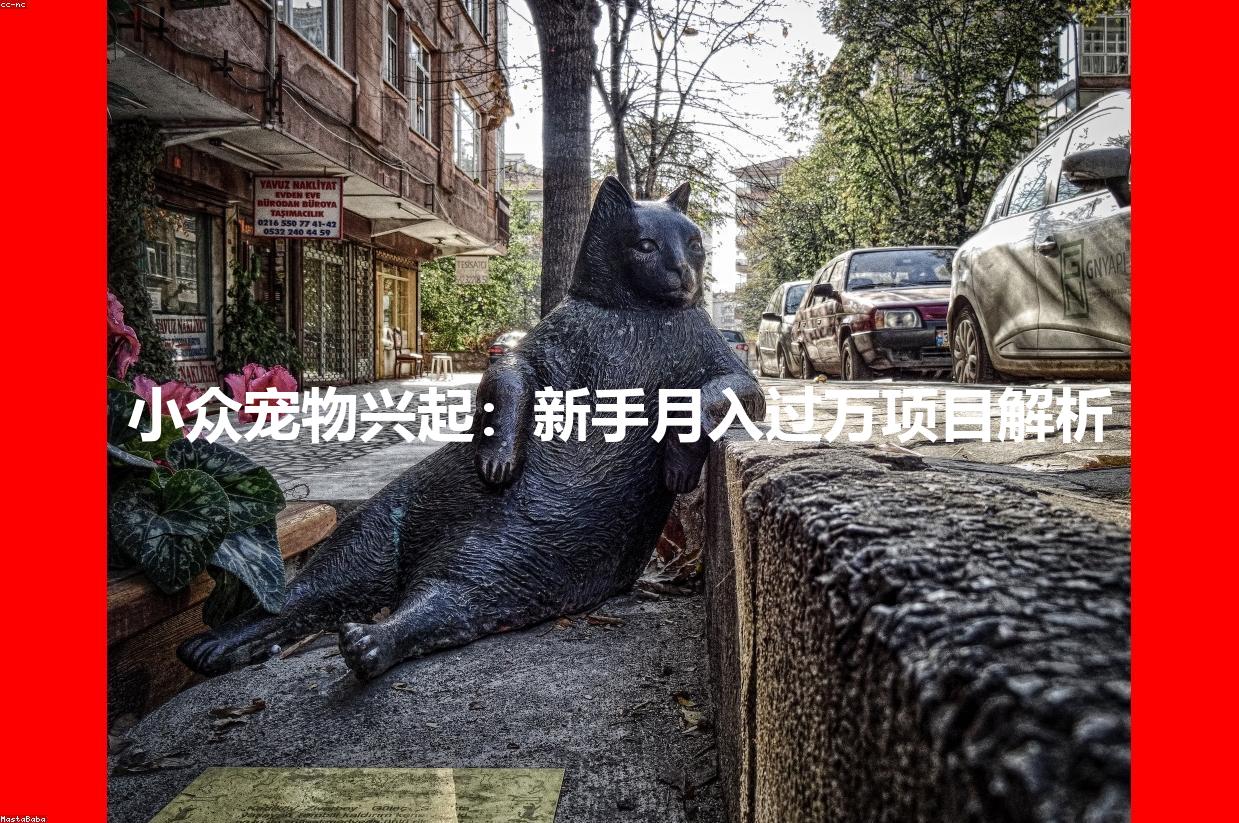 小众宠物兴起：新手月入过万项目解析