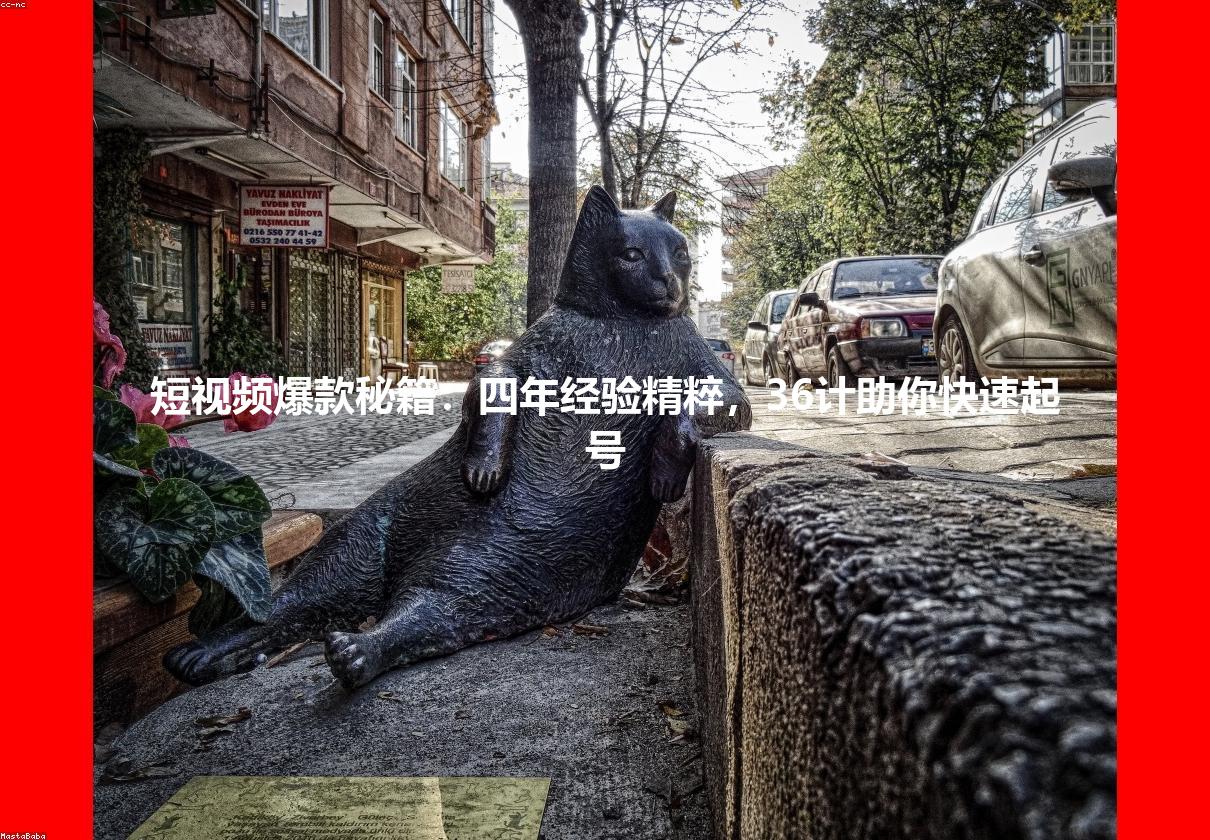 短视频爆款秘籍:四年经验精粹,36计助你快速起号