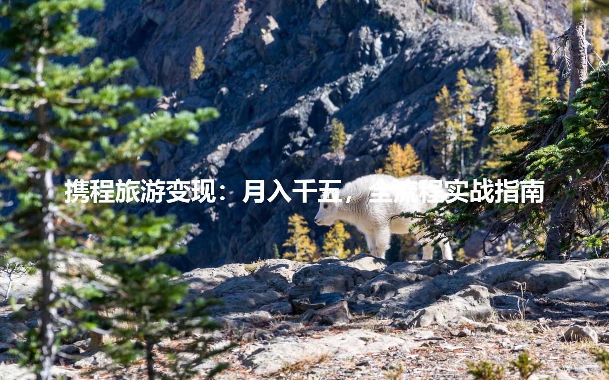 携程旅游变现：月入千五，全流程实战指南