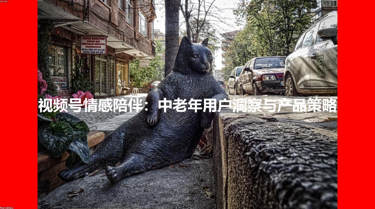 视频号情感陪伴：中老年用户洞察与产品策略