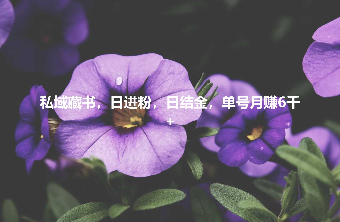 私域藏书，日进粉，日结金，单号月赚6千+