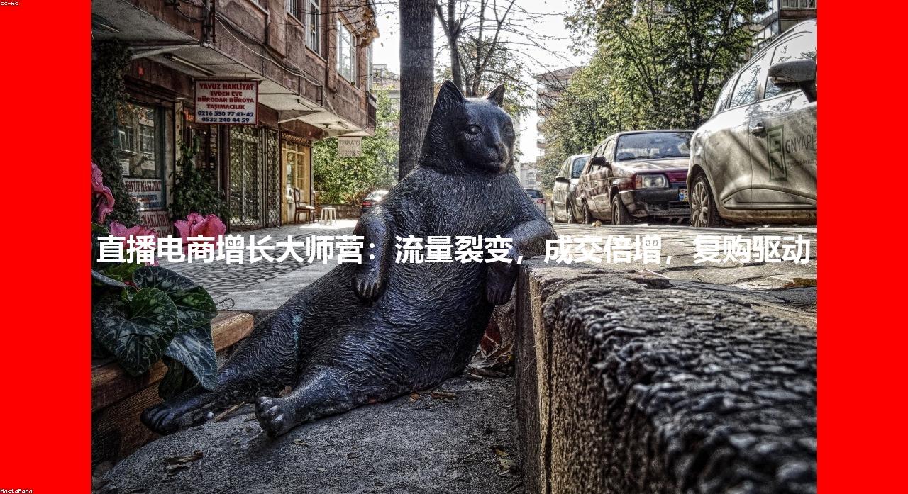 直播电商增长大师营：流量裂变，成交倍增，复购驱动