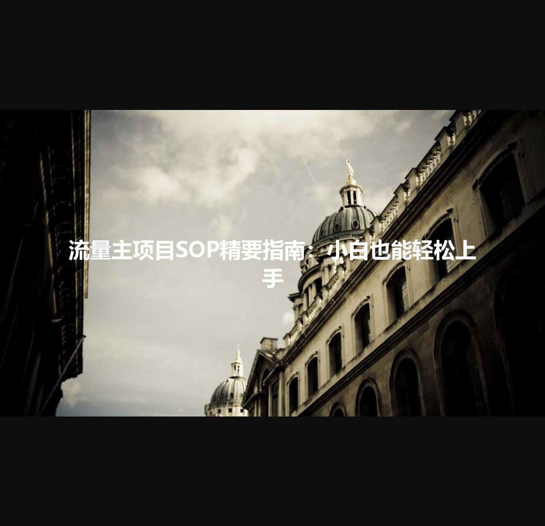 流量主项目SOP精要指南：小白也能轻松上手