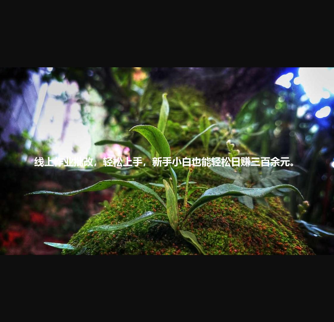 线上作业批改,轻松上手,新手小白也能轻松日赚三百余元。