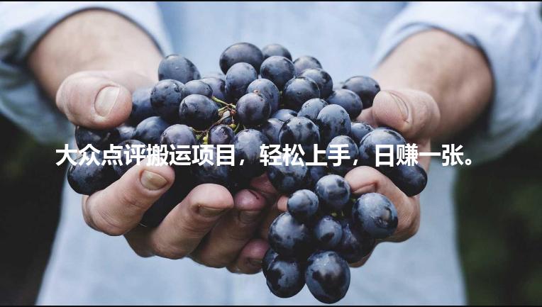 大众点评搬运项目，轻松上手，日赚一张。