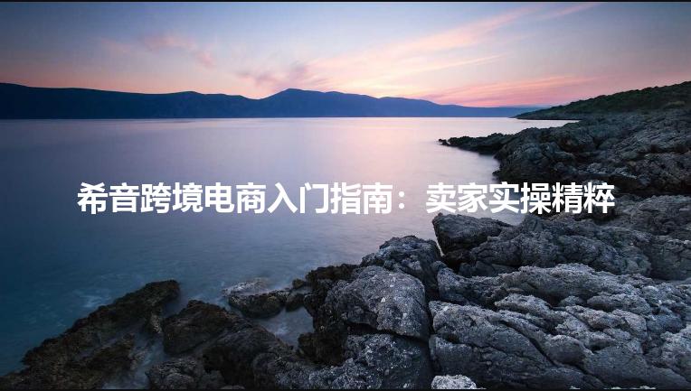 希音跨境电商入门指南:卖家实操精粹