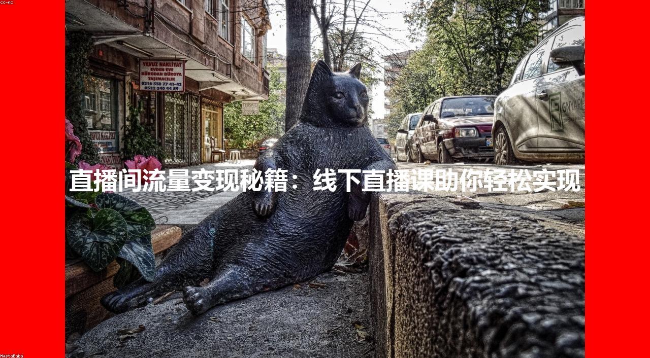 直播间流量变现秘籍：线下直播课助你轻松实现