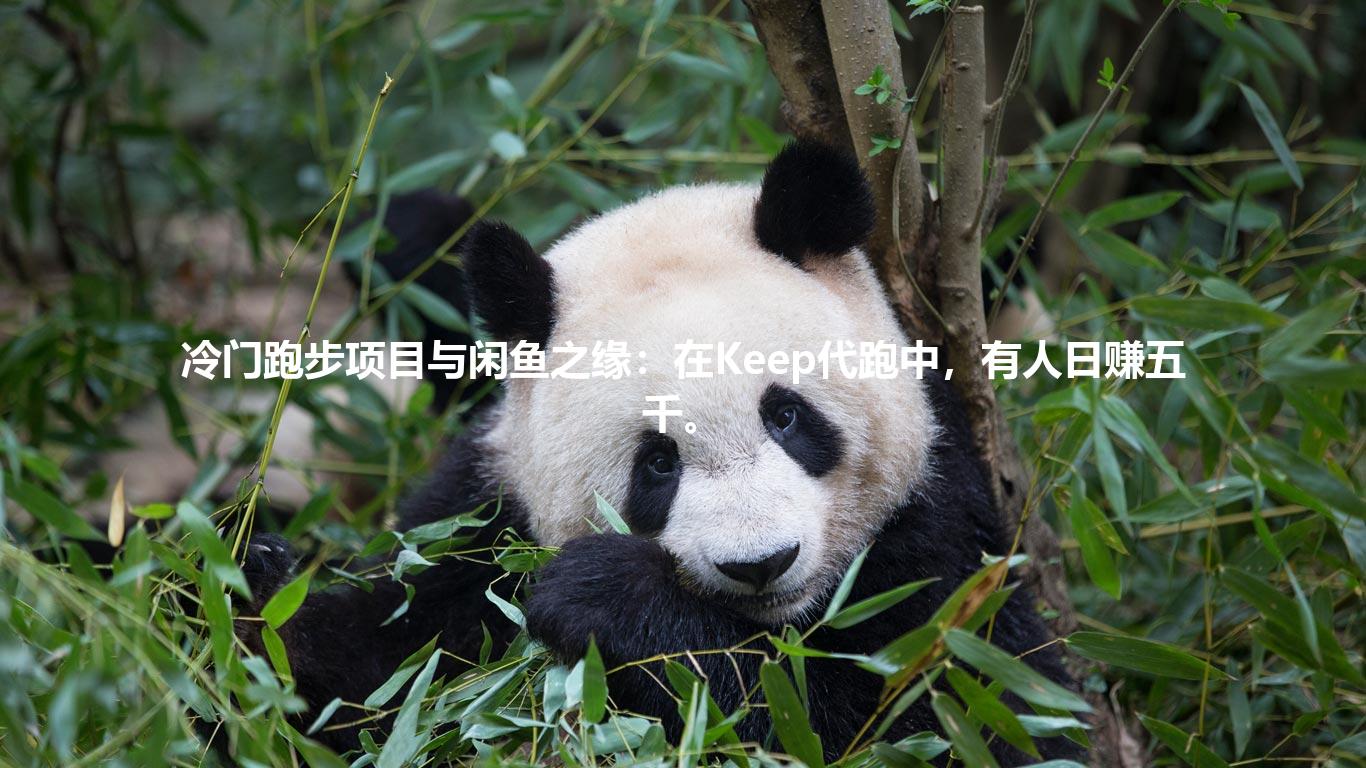 冷门跑步项目与闲鱼之缘:在Keep代跑中,有人日赚五千。