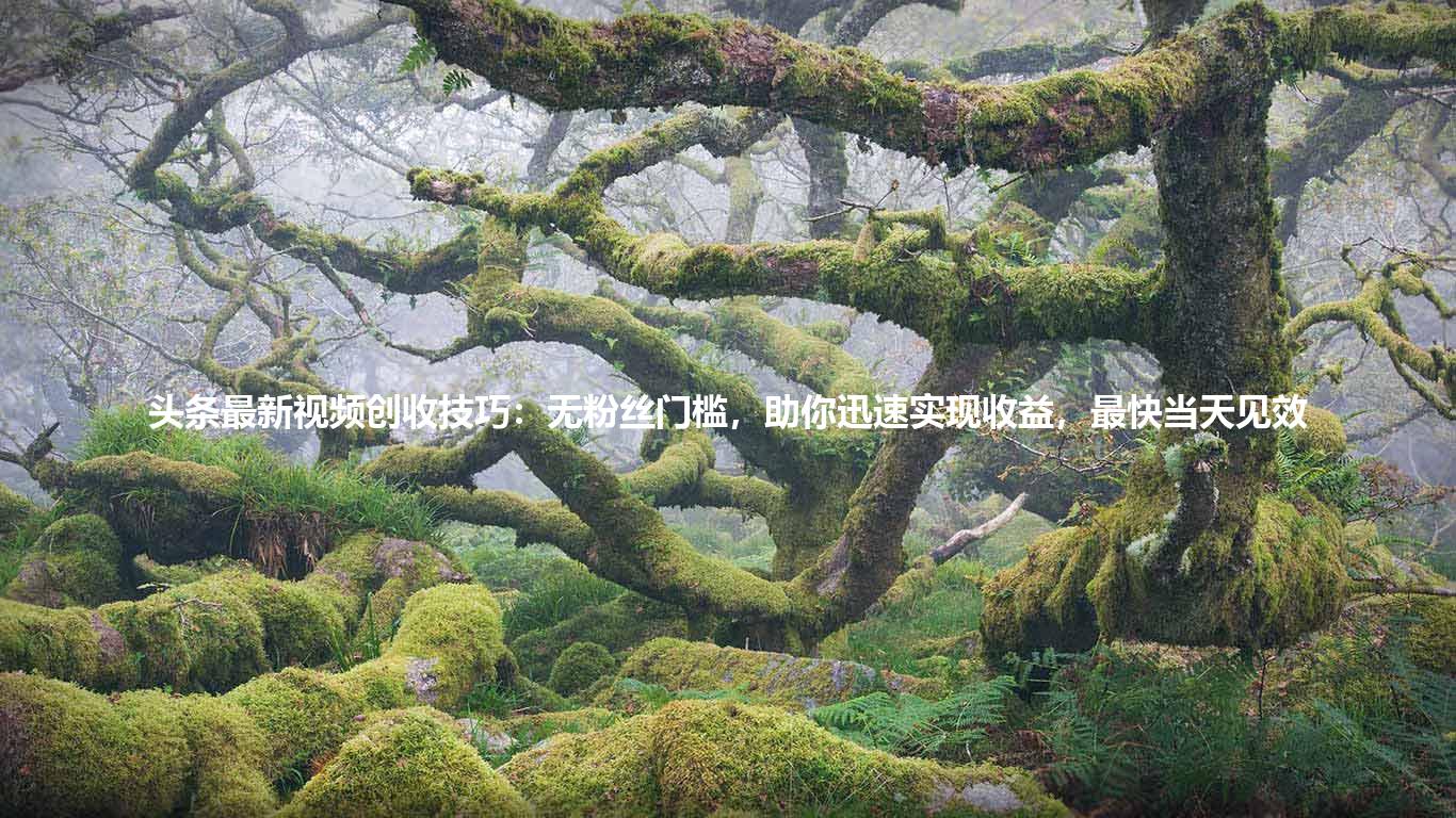 头条最新视频创收技巧:无粉丝门槛,助你迅速实现收益,最快当天见效