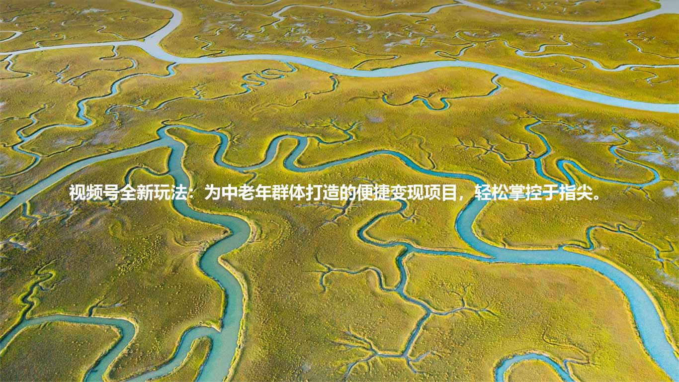 视频号全新玩法:为中老年群体打造的便捷变现项目,轻松掌控于指尖。