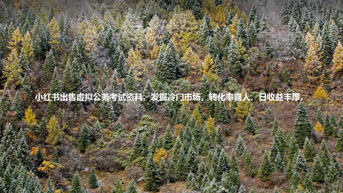 小红书出售虚拟公务考试资料,发掘冷门市场,转化率喜人,日收益丰厚。