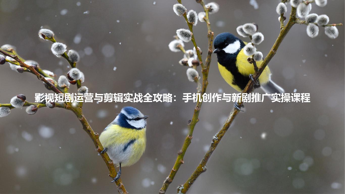 影视短剧运营与剪辑实战全攻略:手机创作与新剧推广实操课程