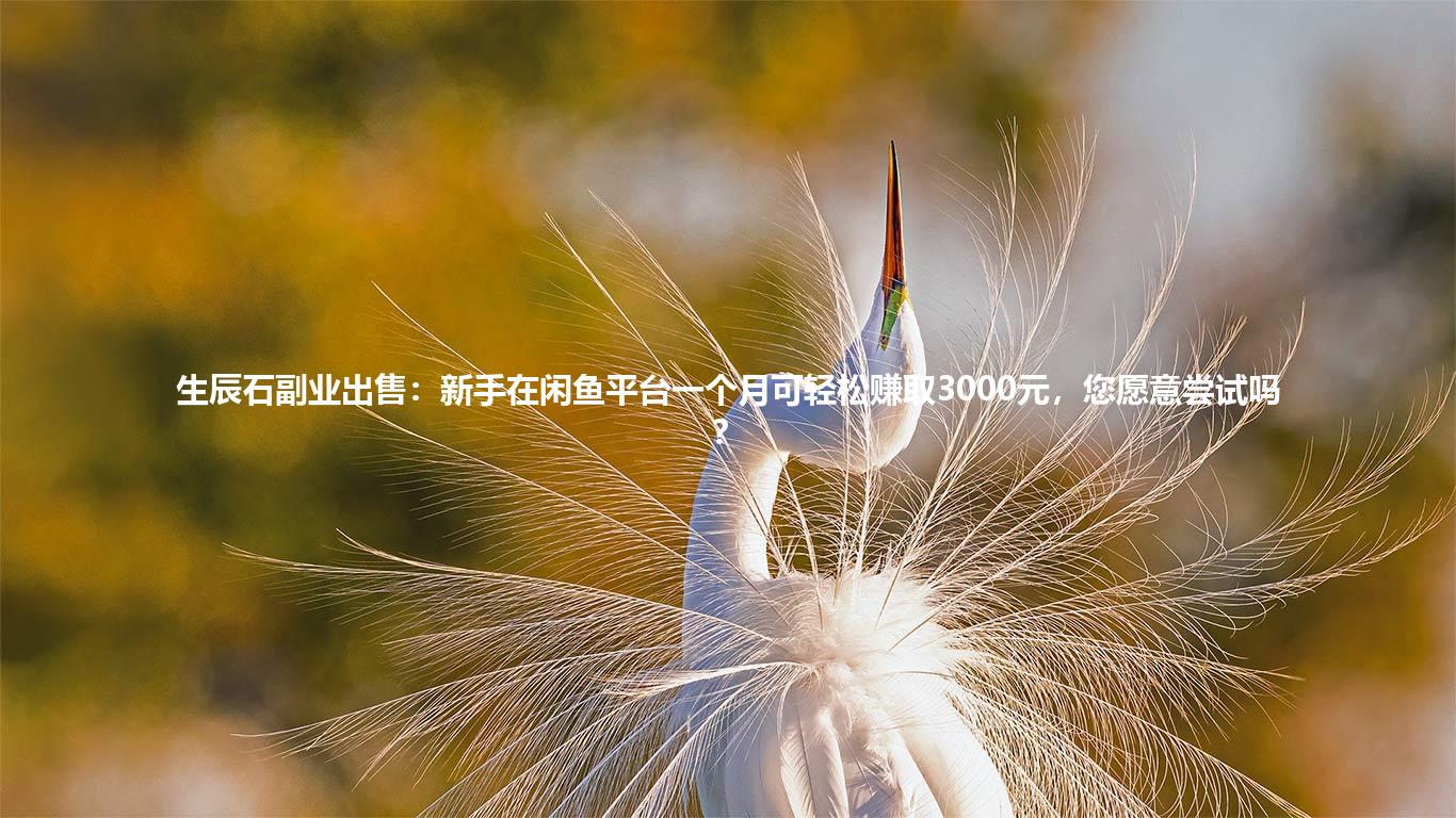 生辰石副业出售:新手在闲鱼平台一个月可轻松赚取3000元,您愿意尝试吗?