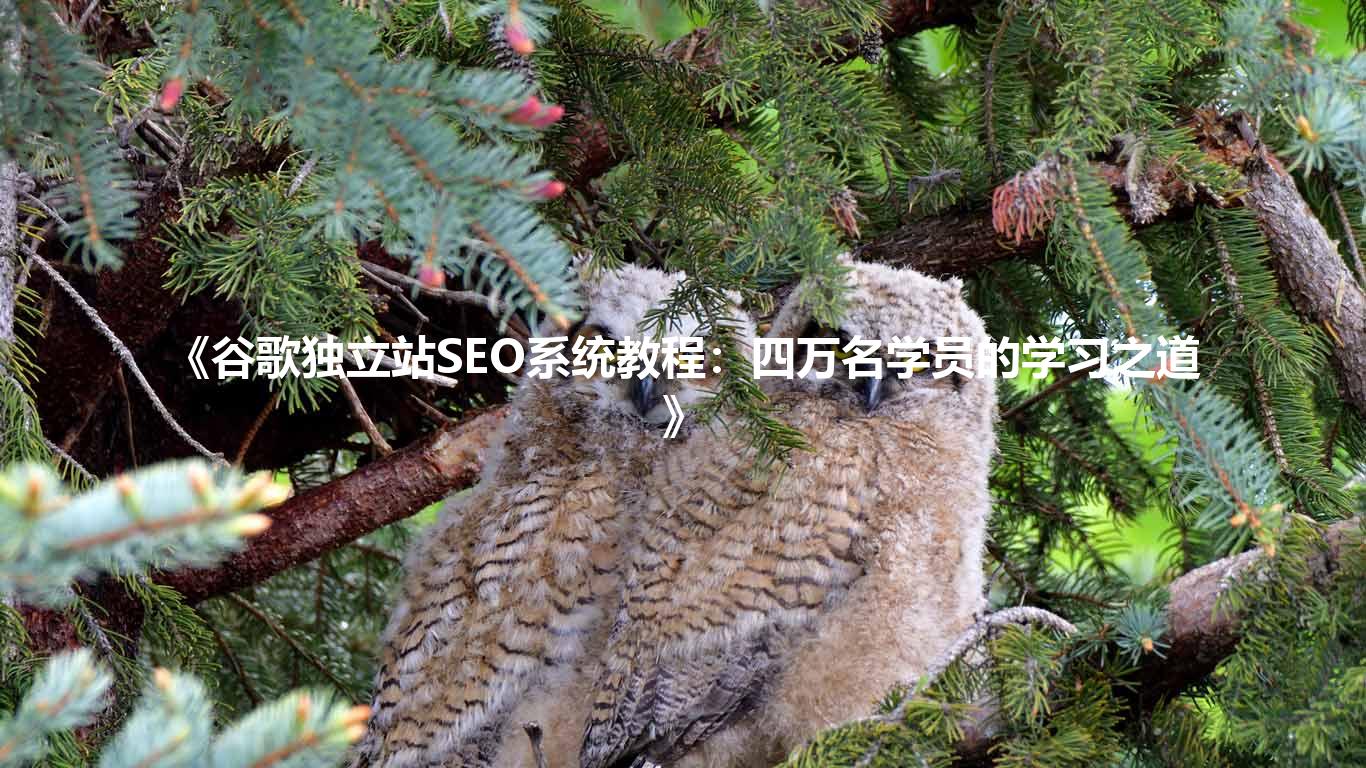 《谷歌独立站SEO系统教程:四万名学员的学习之道》