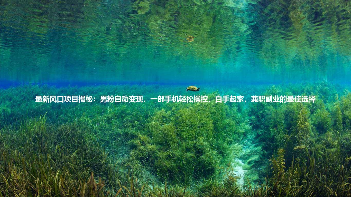 最新风口项目揭秘：男粉自动变现，一部手机轻松操控，白手起家，兼职副业的最佳选择