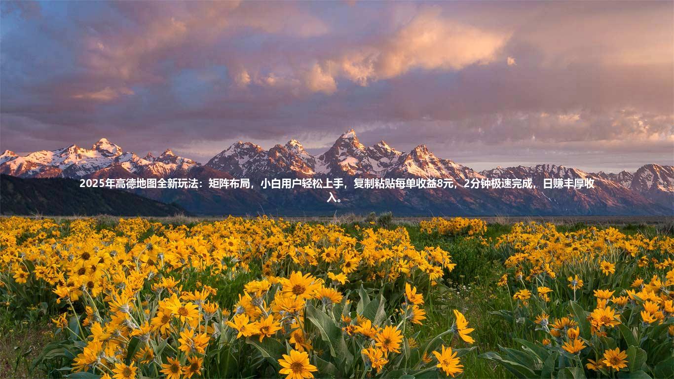 2025年高德地图全新玩法:矩阵布局,小白用户轻松上手,复制粘贴每单收益8元,2分钟极速完成,日赚丰厚收入。