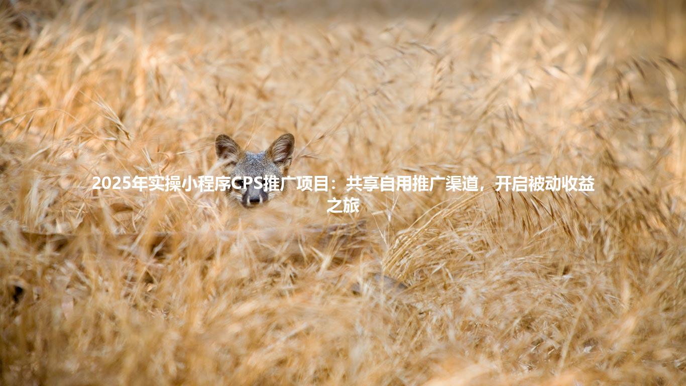 2025年实操小程序CPS推广项目:共享自用推广渠道,开启被动收益之旅