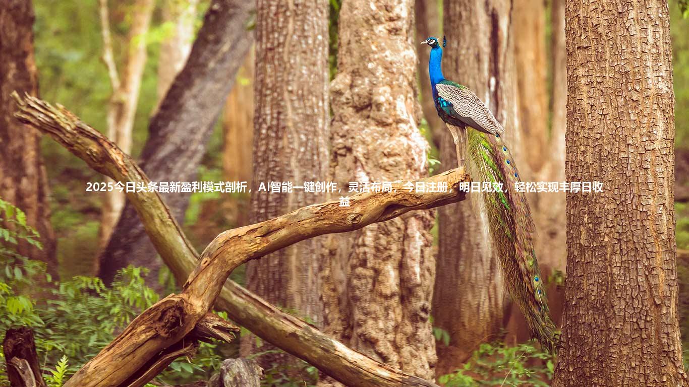 2025今日头条最新盈利模式剖析,AI智能一键创作,灵活布局,今日注册,明日见效,轻松实现丰厚日收益