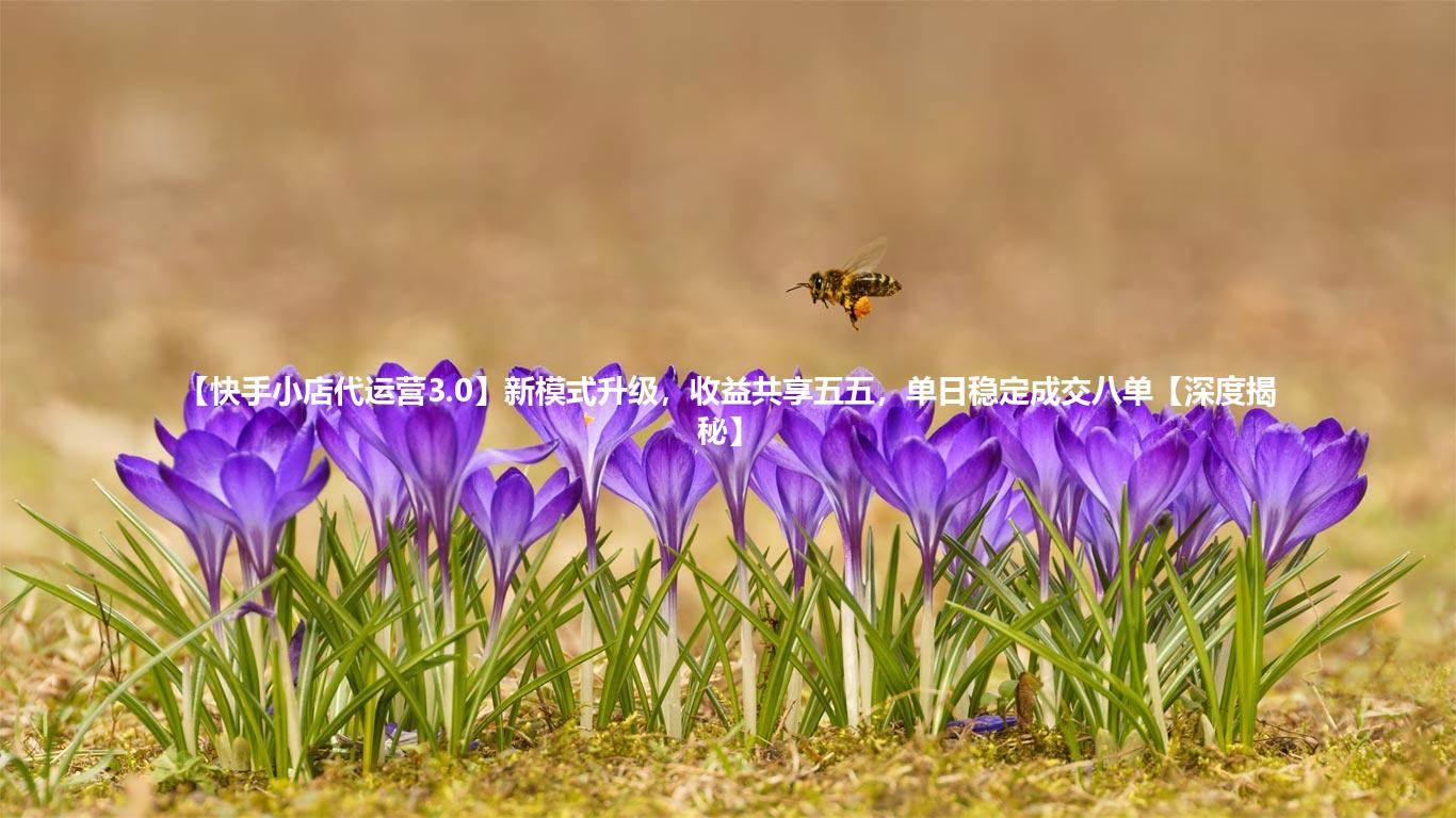 【快手小店代运营3.0】新模式升级,收益共享五五,单日稳定成交八单【深度揭秘】