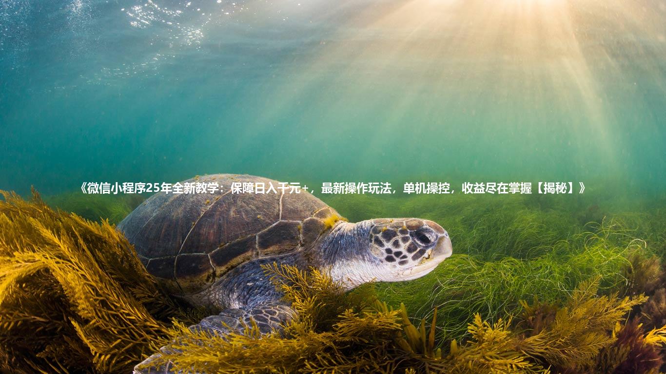 《微信小程序25年全新教学:保障日入千元+,最新操作玩法,单机操控,收益尽在掌握【揭秘】》