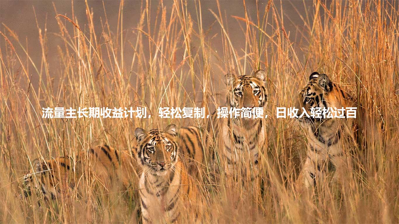 流量主长期收益计划,轻松复制,操作简便,日收入轻松过百
