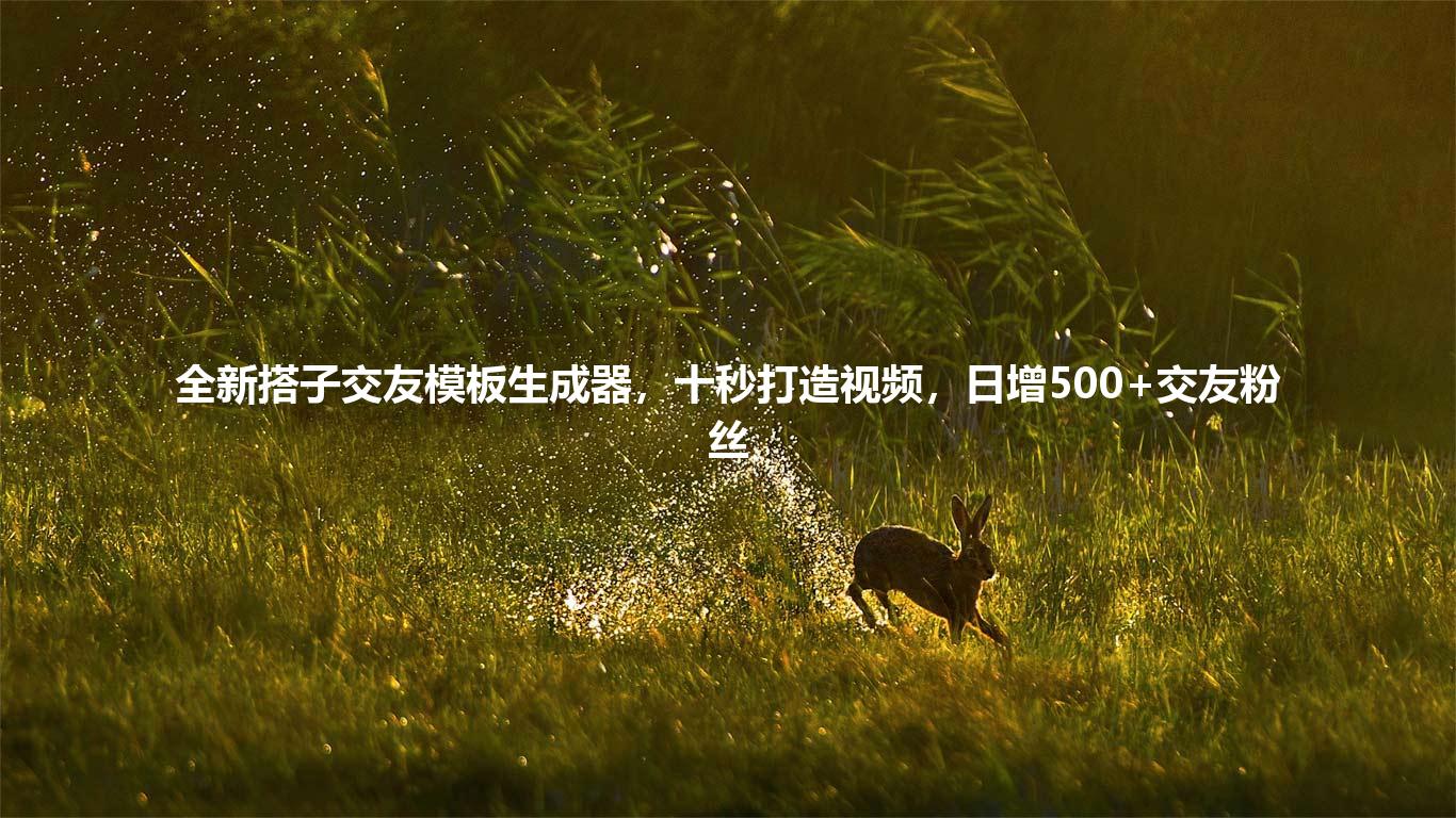 全新搭子交友模板生成器，十秒打造视频，日增500+交友粉丝